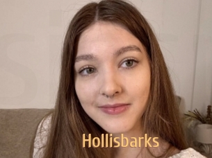 Hollisbarks