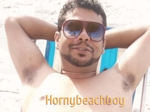 Hornybeachboy