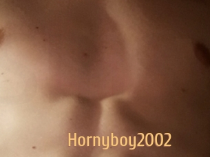 Hornyboy2002