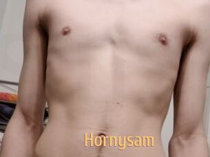 Hornysam