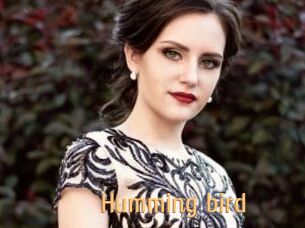 Humming_bird