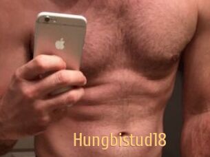 Hungbistud18