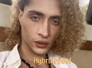 Hybridepool