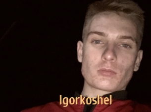 Igorkoshel