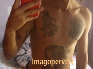 Imagopervert