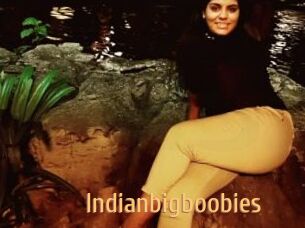 Indianbigboobies