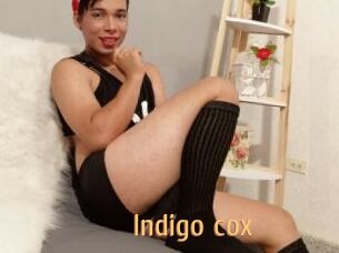 Indigo_cox