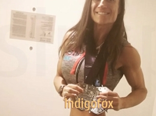 Indigofox