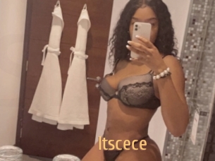 itscece Single Spass