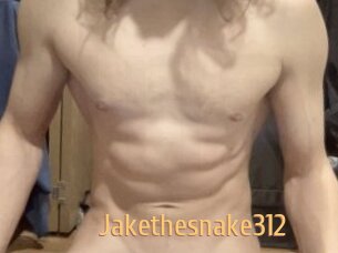 Jakethesnake312