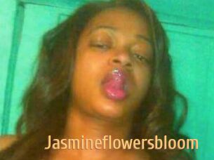 Jasmineflowersbloom