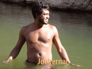 joebernal Single Spass