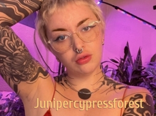 Junipercypressforest