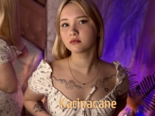 Karinacane