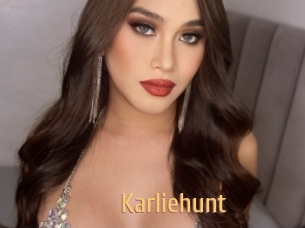 karliehunt Single Spass