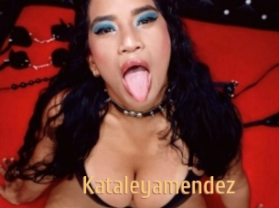 kataleyamendez Single Spass