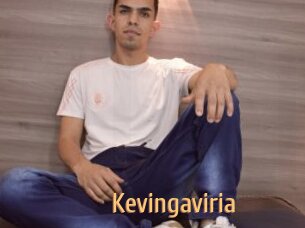 Kevingaviria