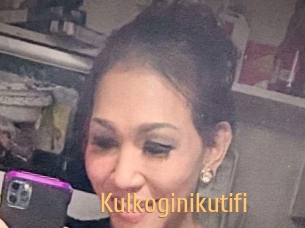 Kulkoginikutifi