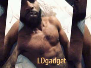 LDgadget