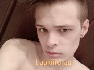 LapkinGray