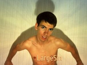 LargeSin