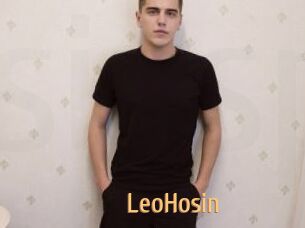 LeoHosin