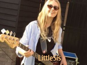LittleSis