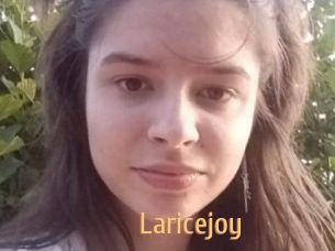 Laricejoy