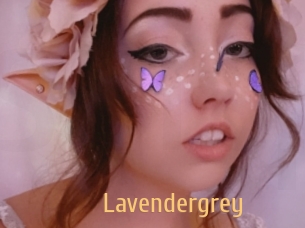 lavendergrey Single Spass