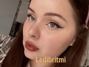 Ledibritmi