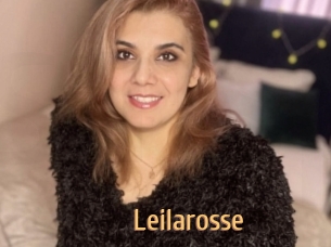 Leilarosse