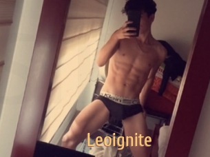 Leoignite