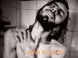 Lepus_mystical
