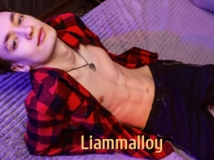 liammalloy Single Spass