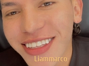 liammarco Single Spass