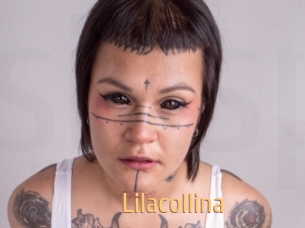 Lilacollina