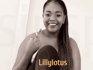 Lillylotus