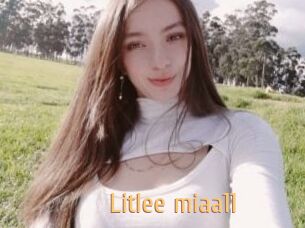 Litlee_miaa11