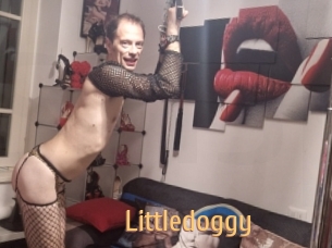 Littledoggy