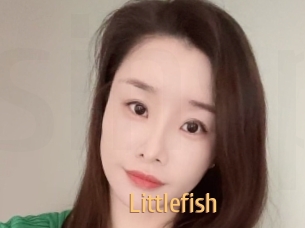 littlefish Single Spass
