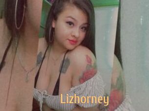 Lizhorney