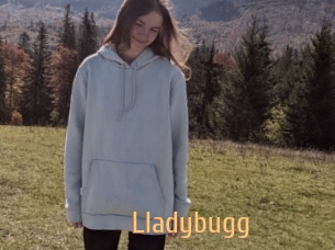 Lladybugg