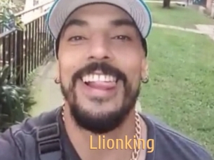 llionking Single Spass