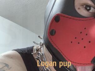 Logan_pup