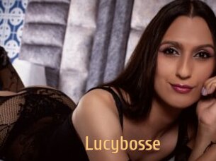 Lucybosse