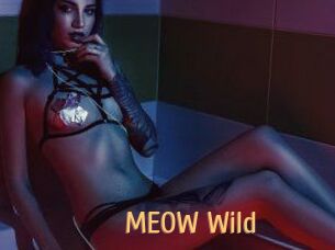 MEOW_Wild