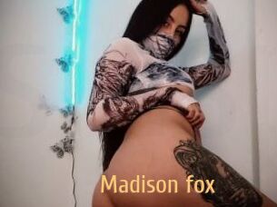 Madison_fox