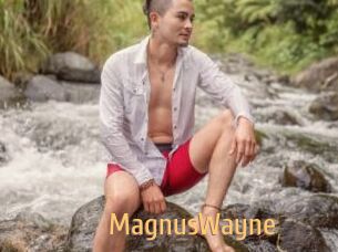 MagnusWayne