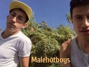 Malehotboys
