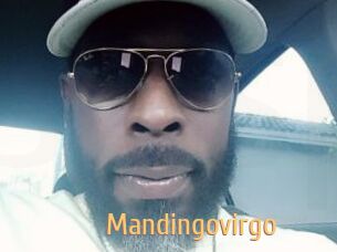 Mandingovirgo